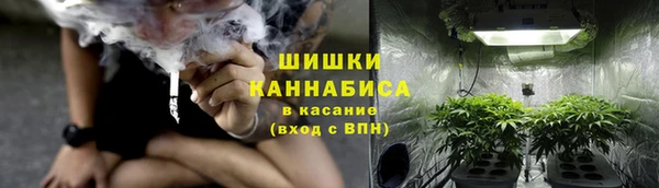 ешки Гусев