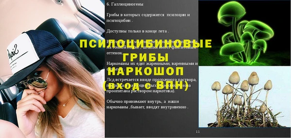 мдма Гусиноозёрск