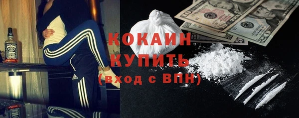 ешки Гусев