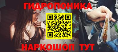стаф Лесосибирск
