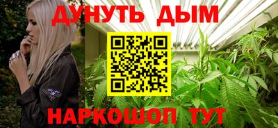 стаф Лесосибирск