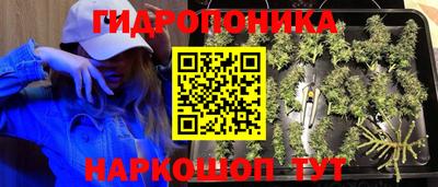 стаф Лесосибирск